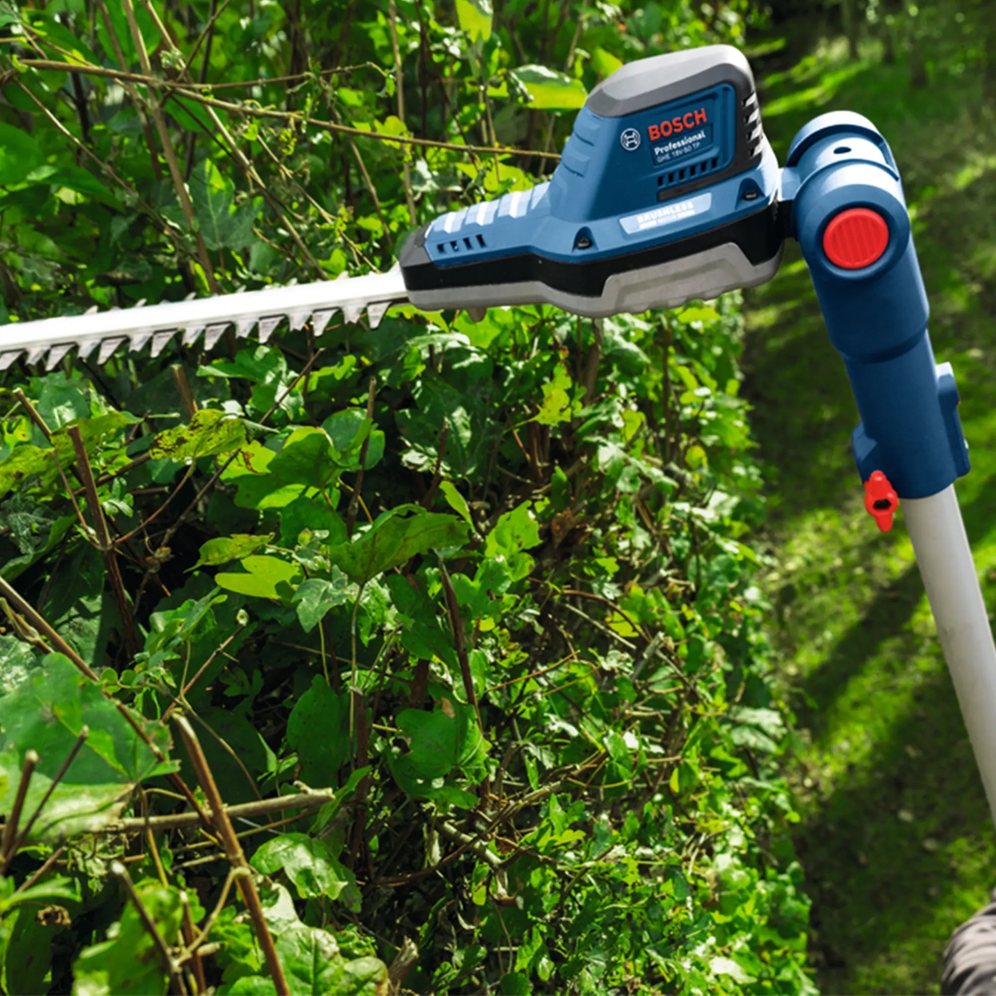 Teleskop-Heckenschere Bosch GHE 18V-50 TP