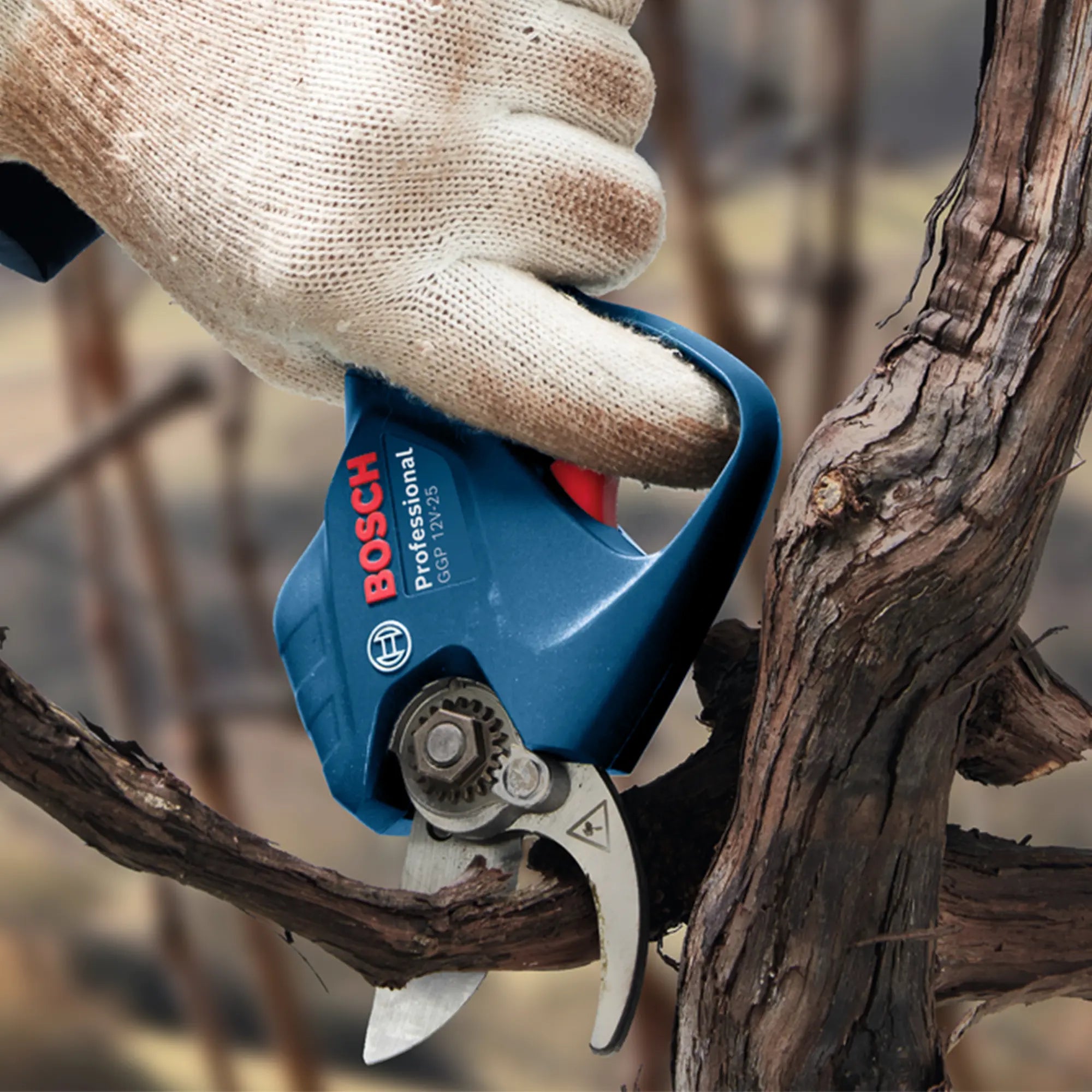 Gartenschere Bosch GGP 12V-25 3Ah