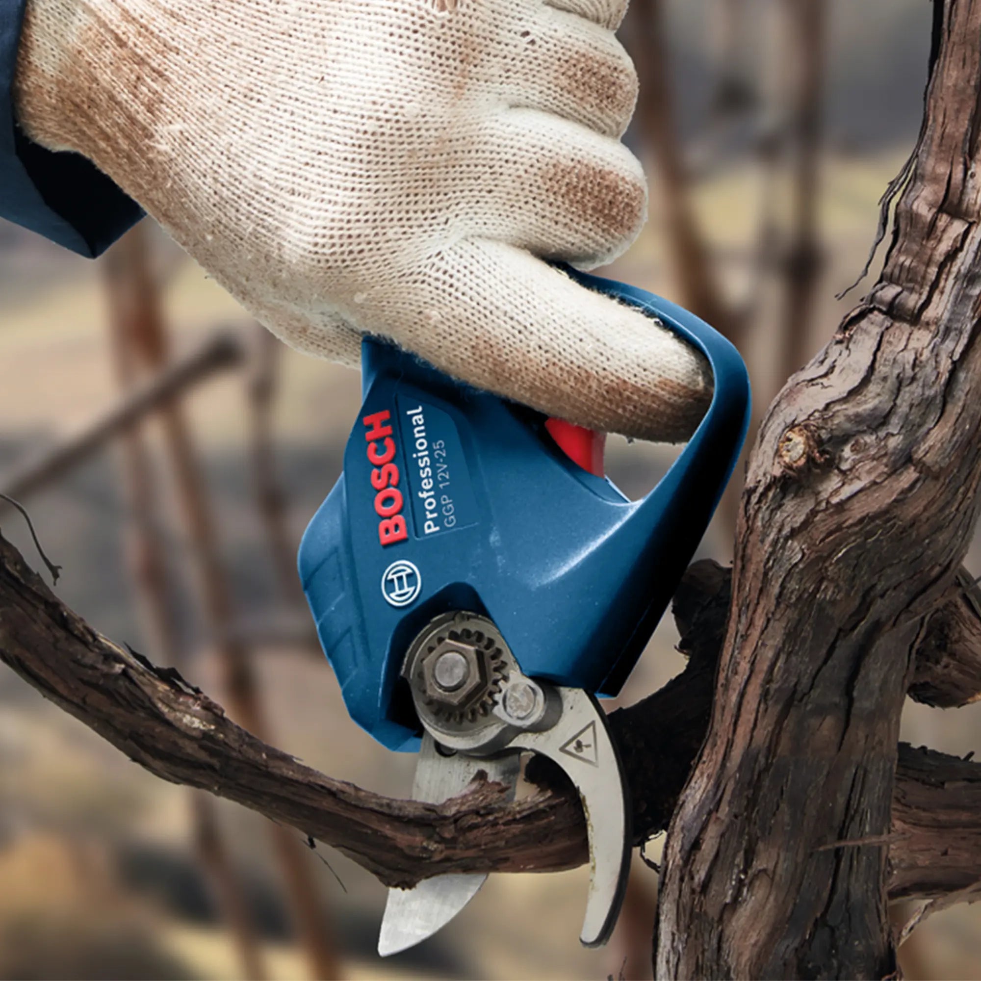 Gartenschere Bosch GGP 12V-25 3Ah