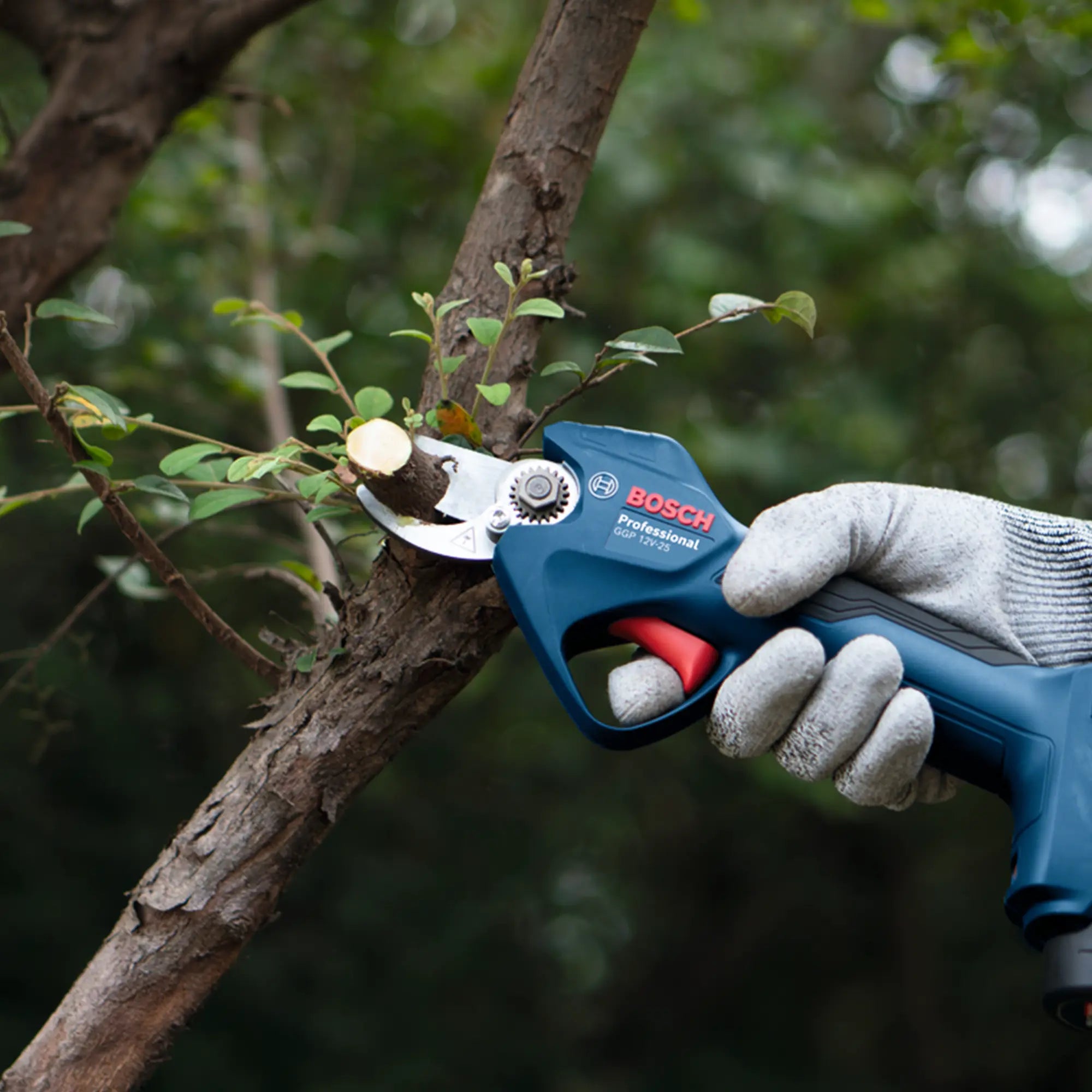 Gartenschere Bosch GGP 12V-25 3Ah