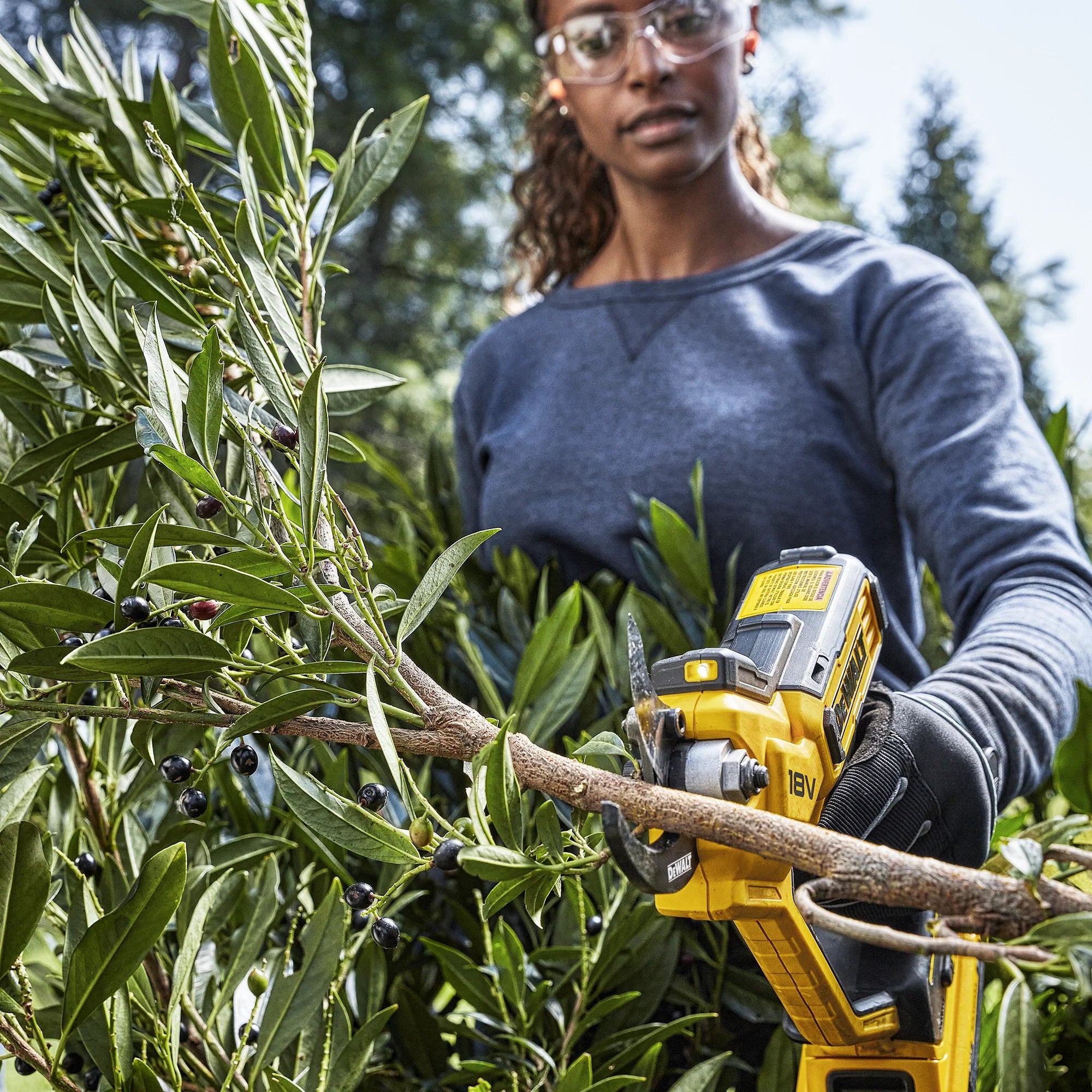 Manuelle Gartenschere Dewalt DCMPP568P1-QW 18V 5Ah