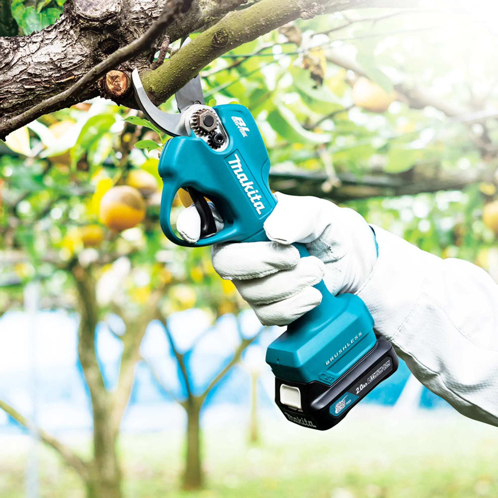 Gartenschere Makita UP100DSMJ 12V 4Ah