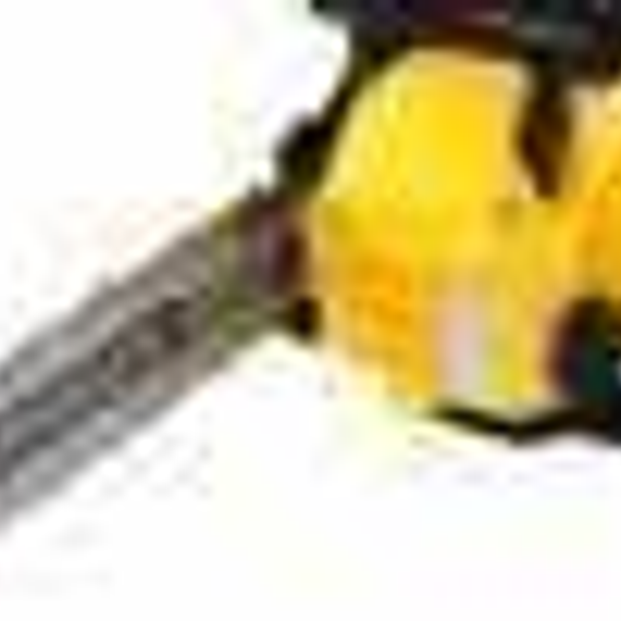 Elektrische Säge Stanley Fatmax SFMCCS730M1-QW 20V 4Ah