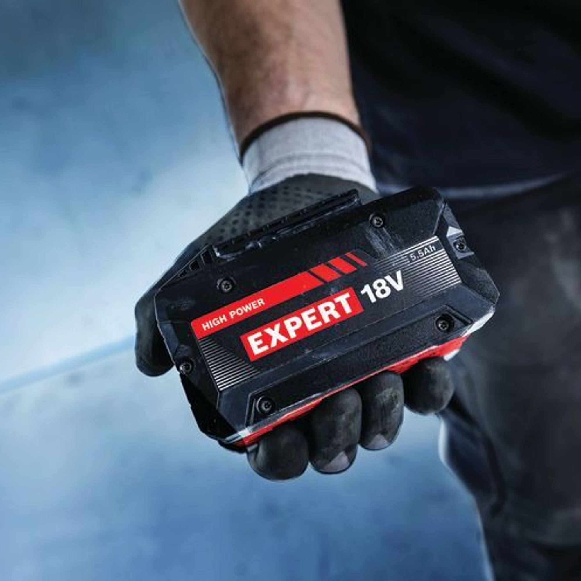 Starterset Bosch Expert EXBA18V-55 18V 5,5Ah